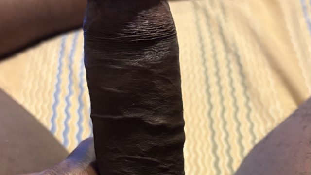 Single Category 5 IMG_0222-1